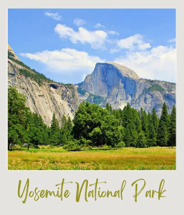How to Get to Yosemite National Park Mountains are surrounded by trees and a wide field of grass in Yosemite National Park