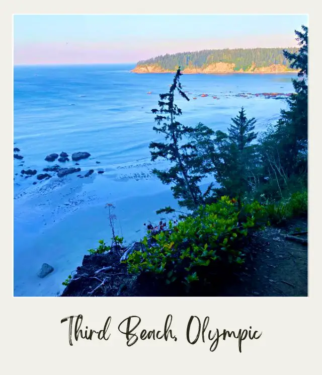 Third Beach, La Push: Complete Guide Aerial view of Third Beach Olympic National Park surrounded by trees.