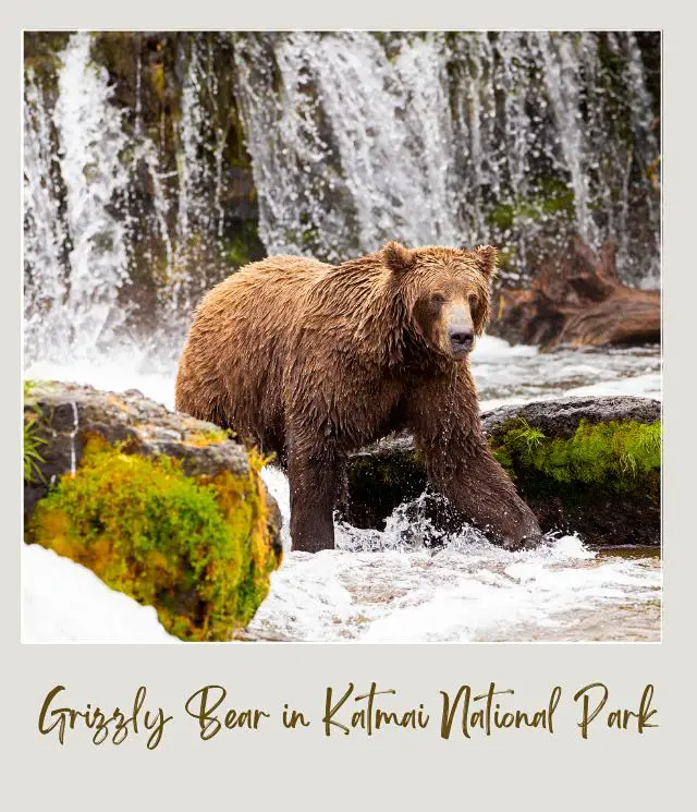 View from Grizzly Bear in Katmai National Park AlaskaLanding in Zion National Park