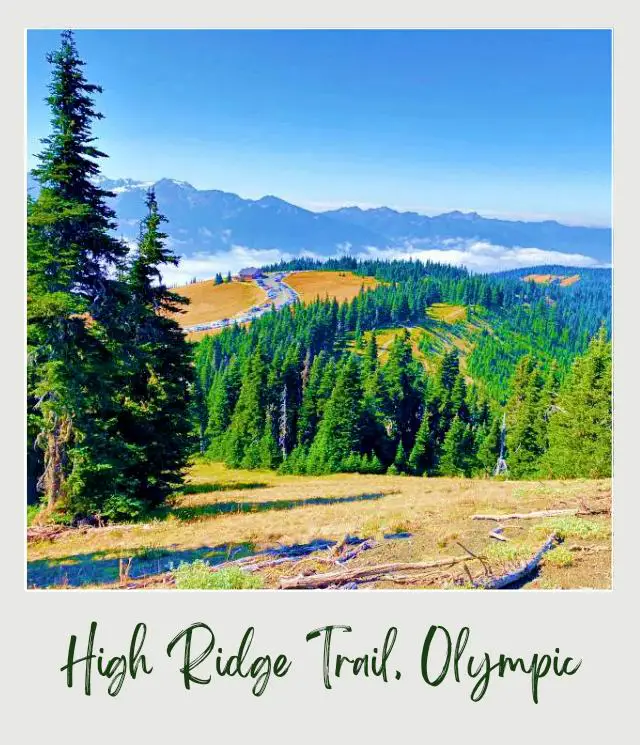 High Ridge Trail to Sunrise Point, Hurricane Ridge: Complete Guide A photo of mountains and below are cars parked on a bent road, and beside is a building surrounded by trees in Hurricane Ridge Olympic National Park