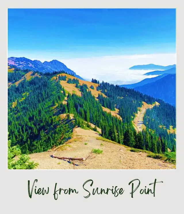 High Ridge Trail to Sunrise Point, Hurricane Ridge: Complete Guide Aerial photo of mountains filled with trees and small road in Hurricane Ridge Olympic National Park