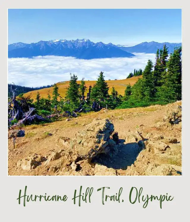 Hurricane Hill Trail Guide Rocks surrounded by trees and behind are mountains surrounded by clouds in Hurricane Hill