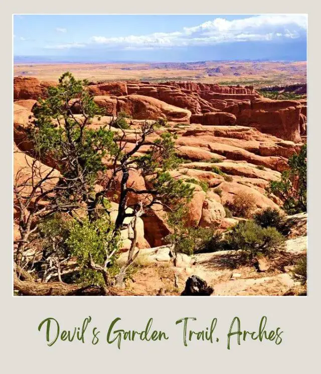 View of huge rock formations and bushes in Devils Garden Trail in Arches National Park.