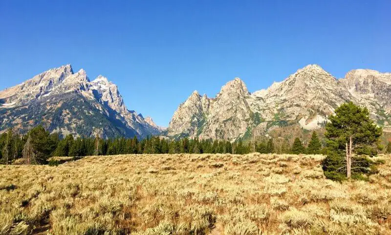 View-of-Grand-Tetons-from-Cascade-Canyon-Turnout