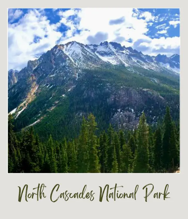 10 Fun Facts About North Cascades National Park View of snow-capped mountains and below are trees in North Cascades National Park.