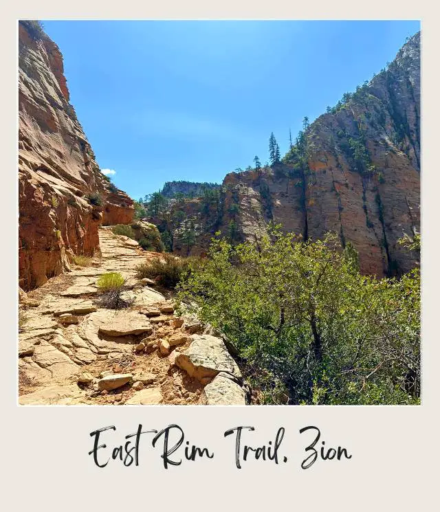 A photo of a paved rocky trail growing among rugged rock formations, set against towering cliffs under a clear sky, at the East Rim Trail in Zion National Park.