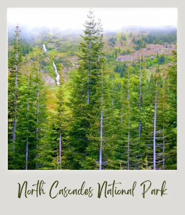 10 Fun Facts About North Cascades National Park Aerial view of trees and behind is a long waterfall surrounded by trees in North Cascades National Park.