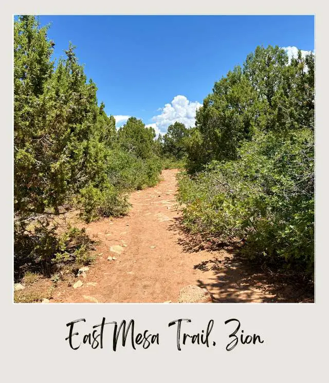 View of Trail in East Mesa Trail to Observation Point Zion National Park