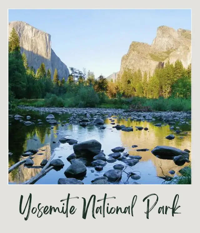 10 Fun Facts About Yosemite National Park View of a lake surrounded by trees and mountains in Yosemite National Park.