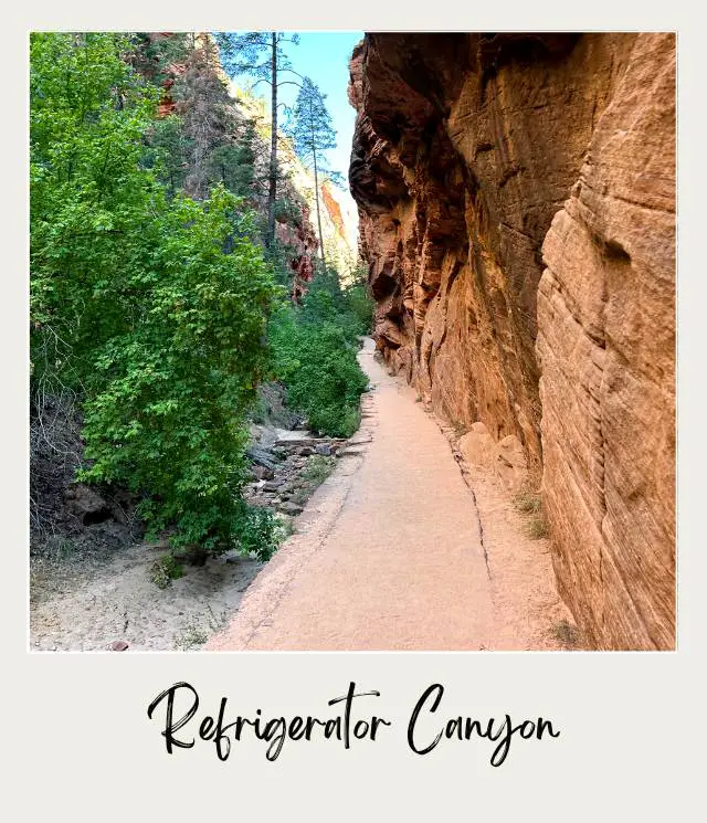 View of a trail surrounded by huge red rocks and bushes in Angels Landing in Zion National Park