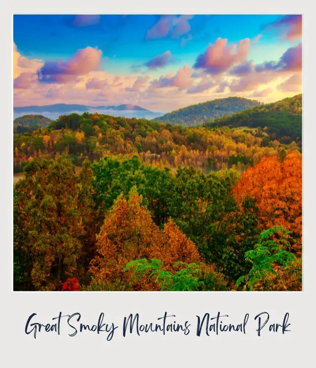 View of colorful trees in Great Smoky Mountains National Park