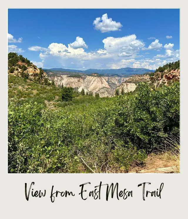 View of mountains and trees from East Mesa Trail to Observation Point Zion National Park