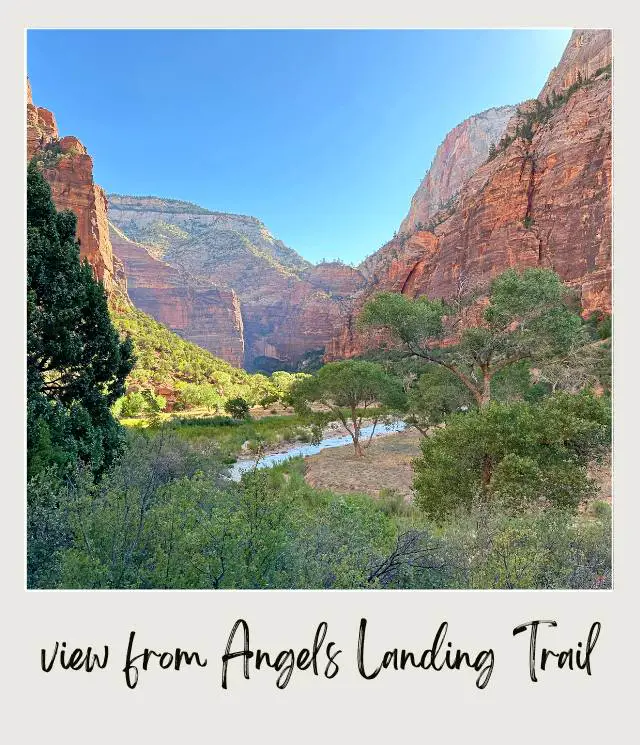 View of river surrounded by mountains and trees in Angels Landing in Zion National Park