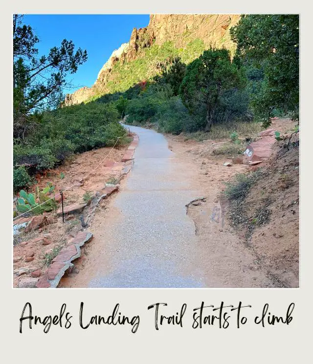 View of trail surrounded by mountains and trees in Angels Landing in Zion National Park