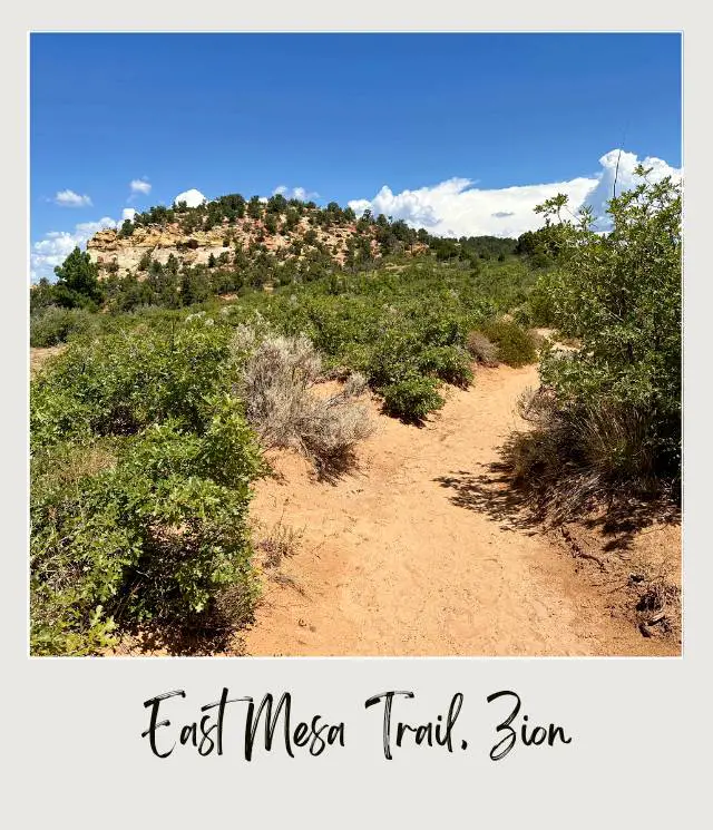 View of uphill trail in East Mesa Trail to Observation Point Zion National Park