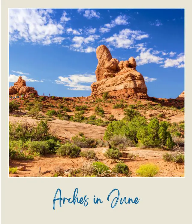 View of rock formations and bushes under the blue skies in Arches National Park.