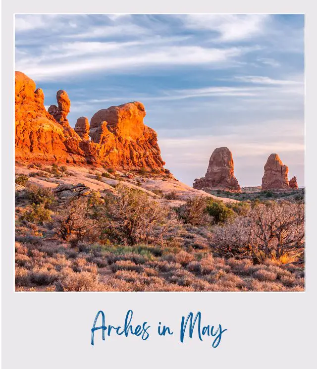 View of rock formations surrounded by bushes in Arches National Park.