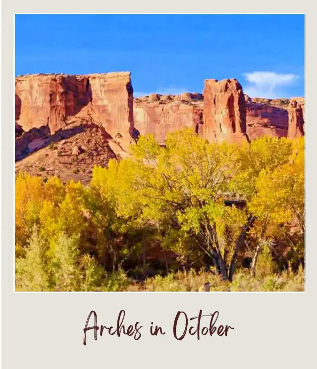 Yellow-leaf trees and behind are huge rock formations in Arches National Park