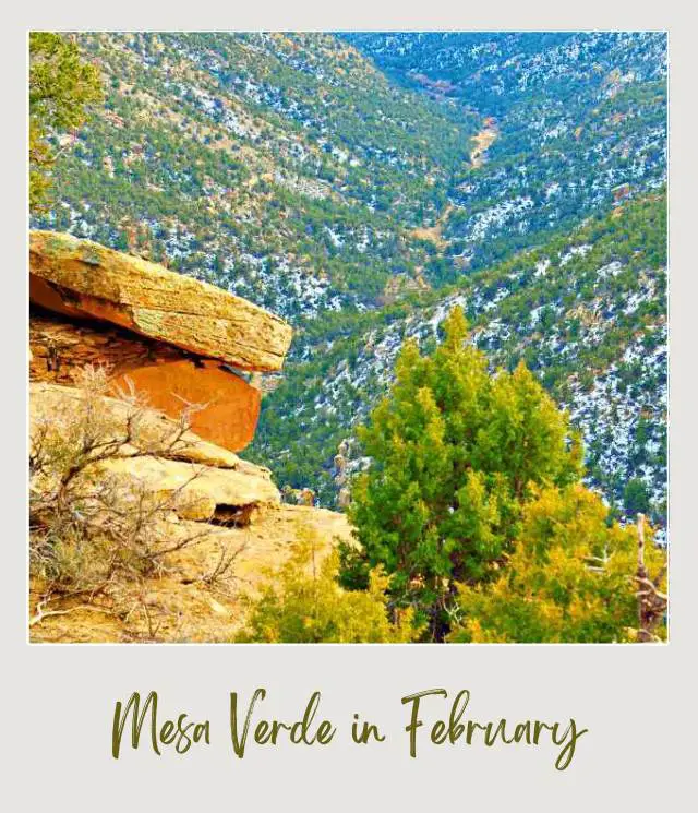 Visiting Mesa Verde National Park: What To Expect Throughout the Year Mountains of trees filled with snow in Mesa Verde National Park