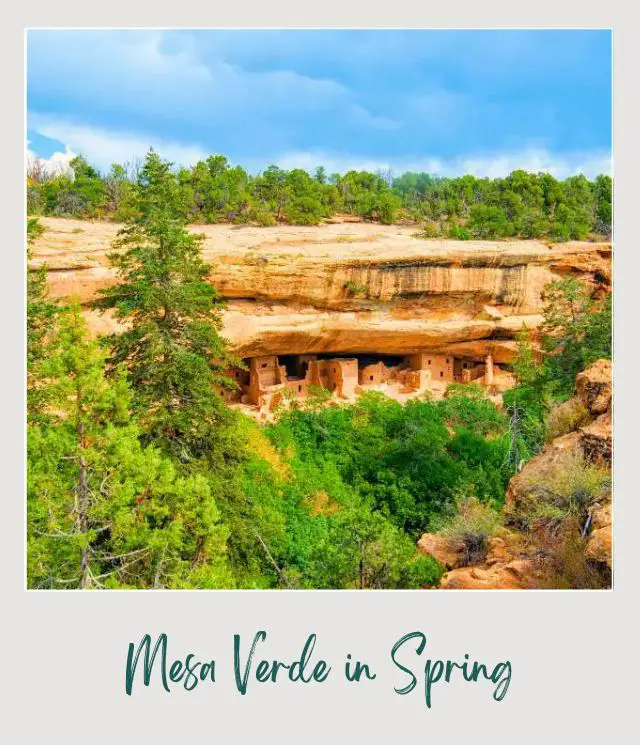 Best Time To Visit Mesa Verde National Park Rock cliffs and mountains surrounded by green trees in Mesa Verde National Park.