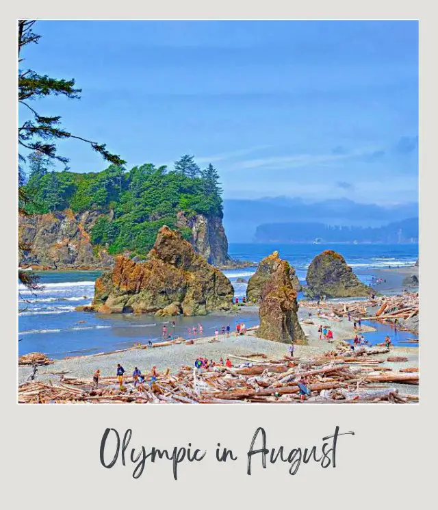 Visiting Olympic National Park: What To Expect Throughout the Year People beside the ocean are surrounded by tree logs, huge rocks, and trees in Olympic National Park