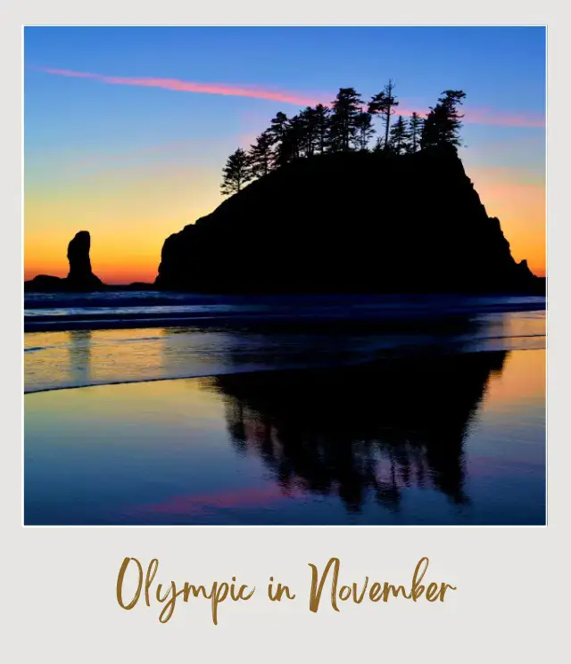 Visiting Olympic National Park: What To Expect Throughout the Year An image of a huge rock surrounded by trees in the ocean in Olympic National Park