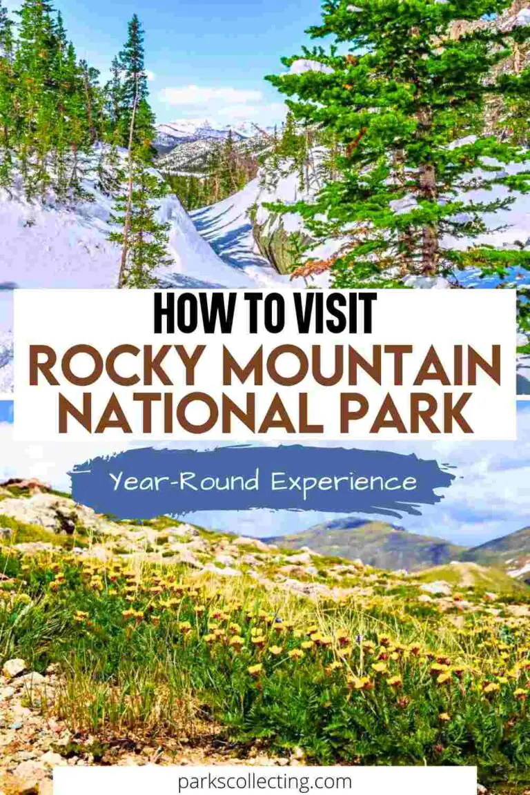 Visiting Rocky Mountain National Park: What To Expect Throughout The Year