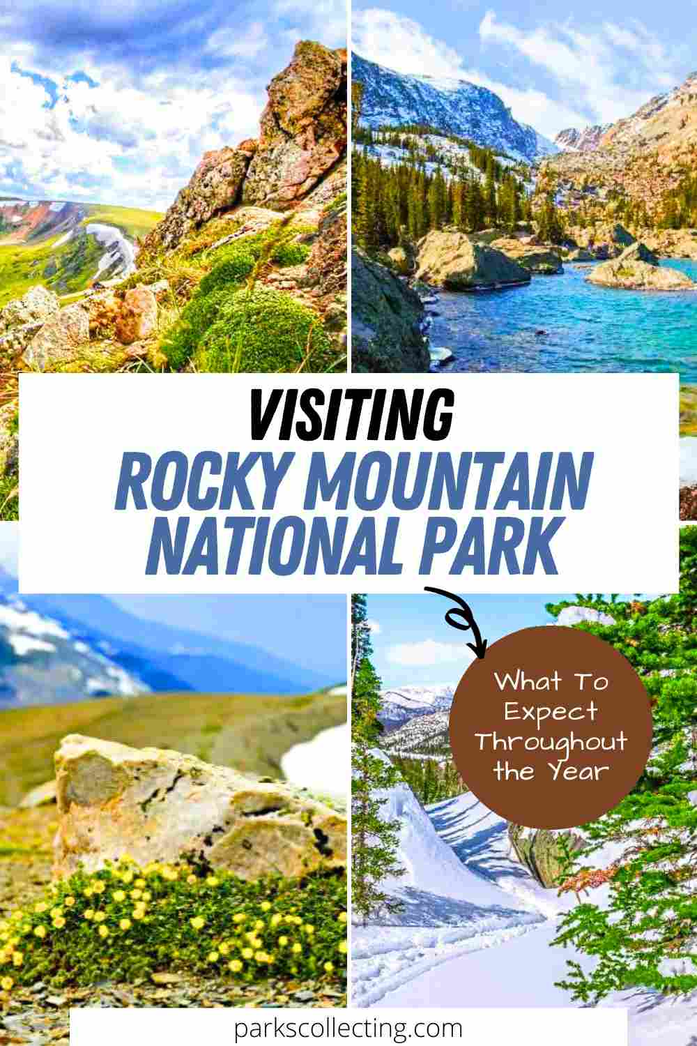 Visiting Rocky Mountain National Park: What To Expect Throughout The Year