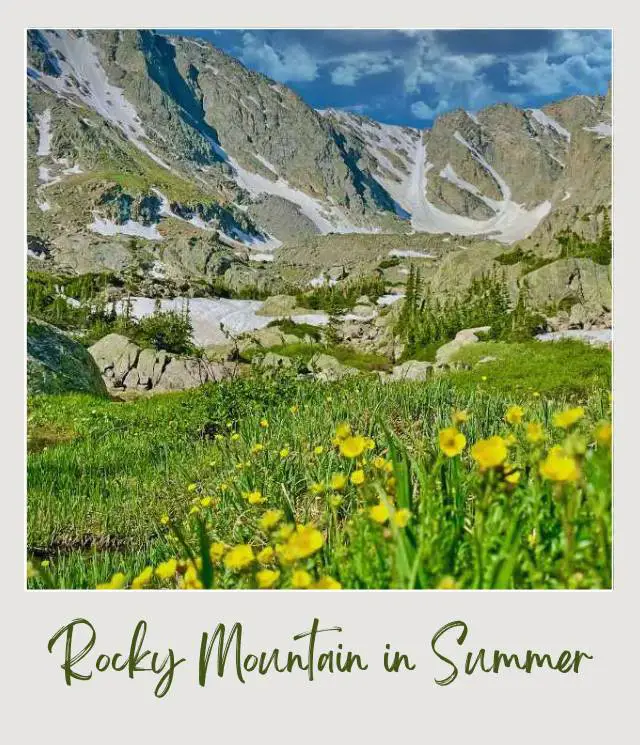 Visiting Rocky Mountain National Park: What To Expect Throughout the Year Snow-capped mountains, and below are green plants and wildflowers in Rocky Mountain National Park.