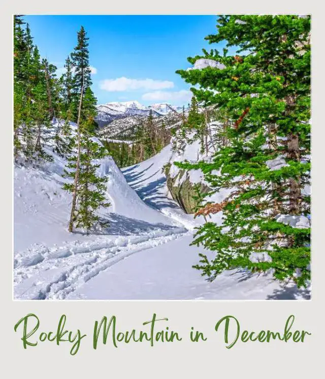 Visiting Rocky Mountain National Park: What To Expect Throughout the Year Mountains and trees are covered with snow in Rocky Mountain National Park.