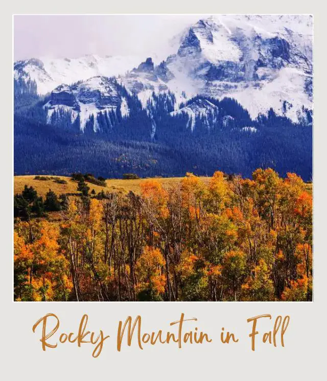 Visiting Rocky Mountain National Park: What To Expect Throughout the Year Snow-capped mountains, and below are trees in Rocky Mountain National Park.