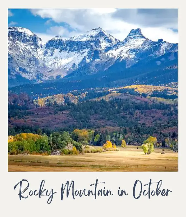 Visiting Rocky Mountain National Park: What To Expect Throughout the Year Gang of elk on the grassfields surrounded by trees in Rocky Mountain National Park.