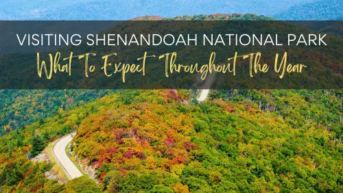 This image has an empty alt attribute; its file name is Visiting-Shenandoah-National-Park-Header.jpg