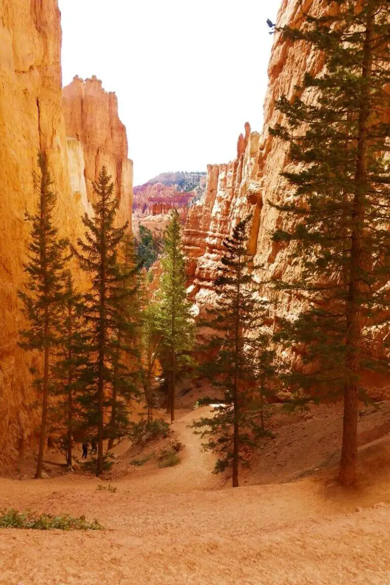 Best Hikes In Bryce Canyon National Park
