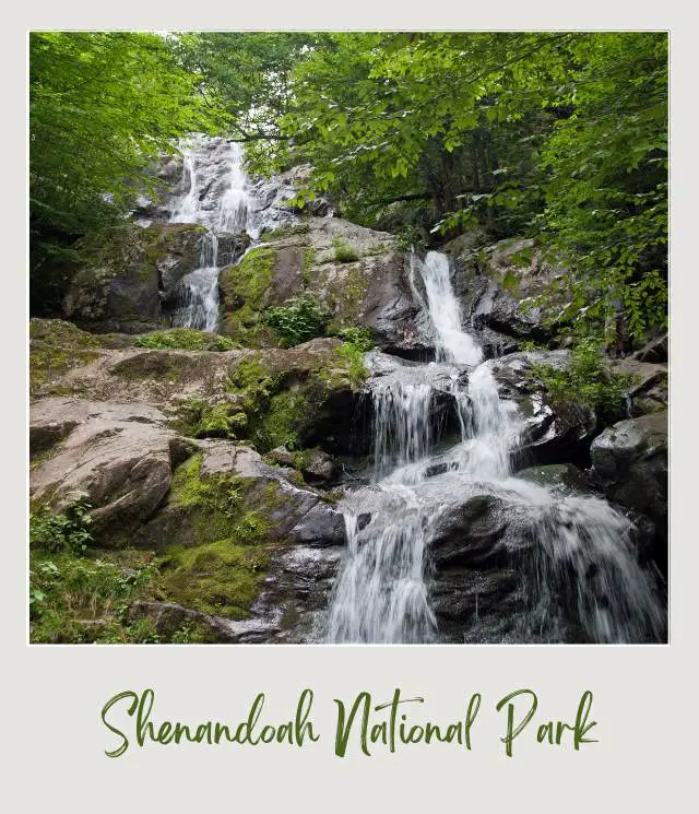 Waterfall in Shenandoah National Park surrounded by trees in spring