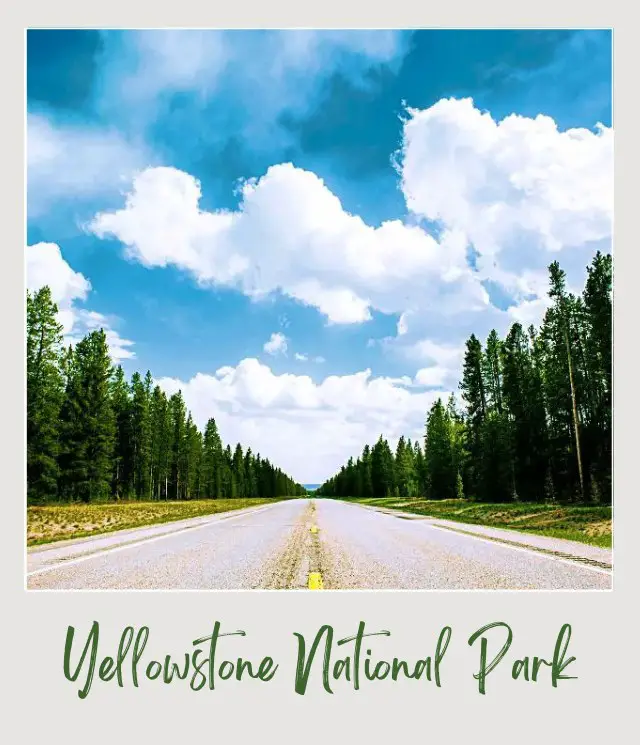 How To Get To Yellowstone National Park: Complete Guide Straight concrete road surrounded by trees under the blue sky near Yellowstone National Park