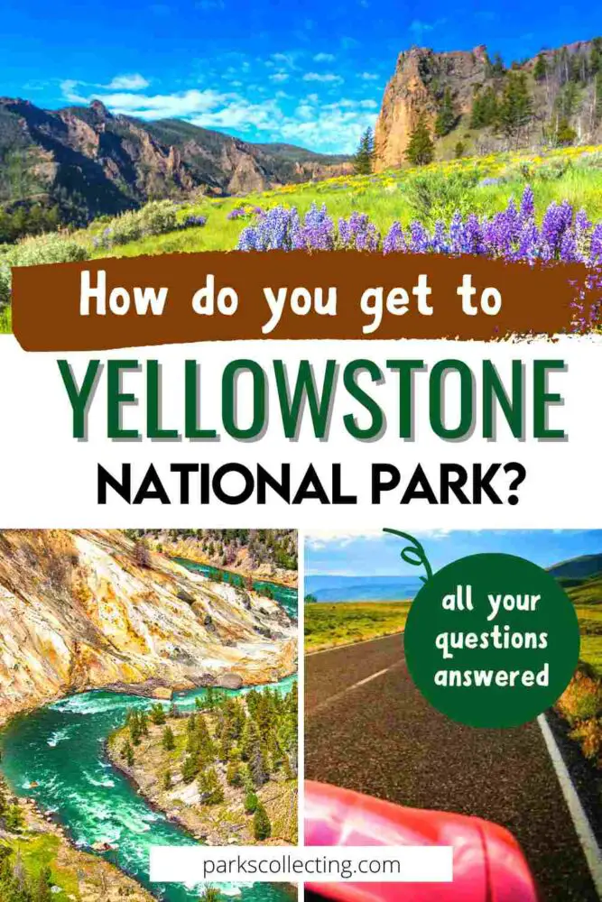 photos of flowers, river and road with text "how do you get to yellowstone national park? all your questions answered"