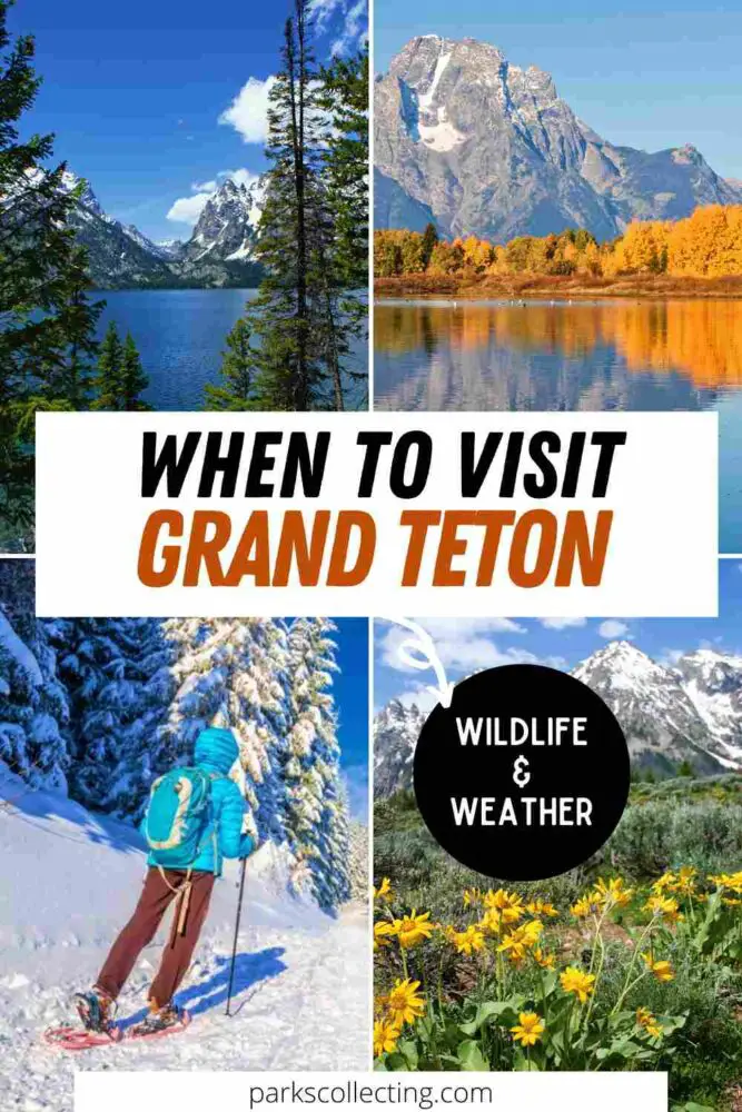 When to Visit Grand Teton_ Wildlife and Weather