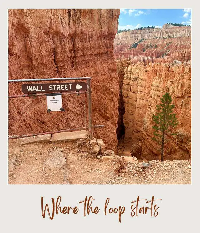 Where the loop starts in Navajo Loop Trail Bryce Canyon National Park
