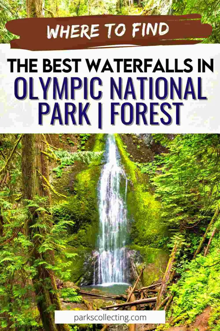 10 Best Waterfalls In Olympic National Park | Forest