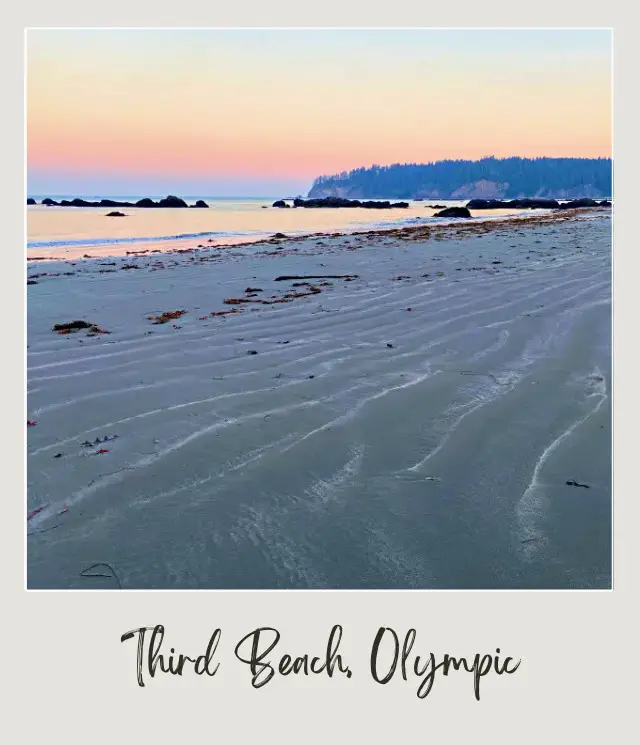 Third Beach, La Push: Complete Guide White sand and sea stacks in Third Beach Olympic National Park, and on the other side are trees surrounding the beach.
