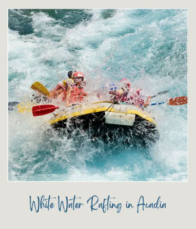 People riding in a whitewater raft in the middle of the water