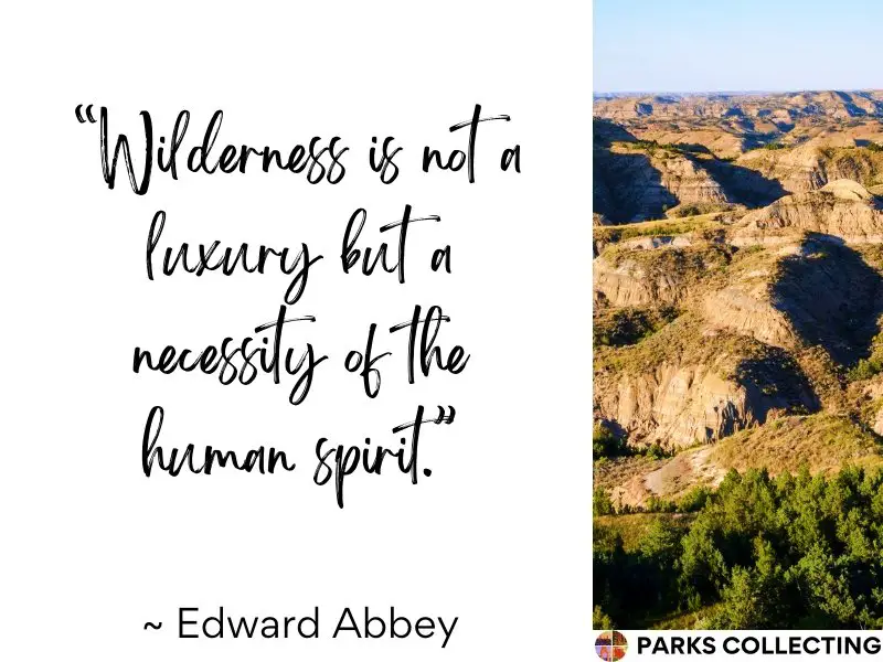 Wilderness is not a luxury but a necessity of the human spirit