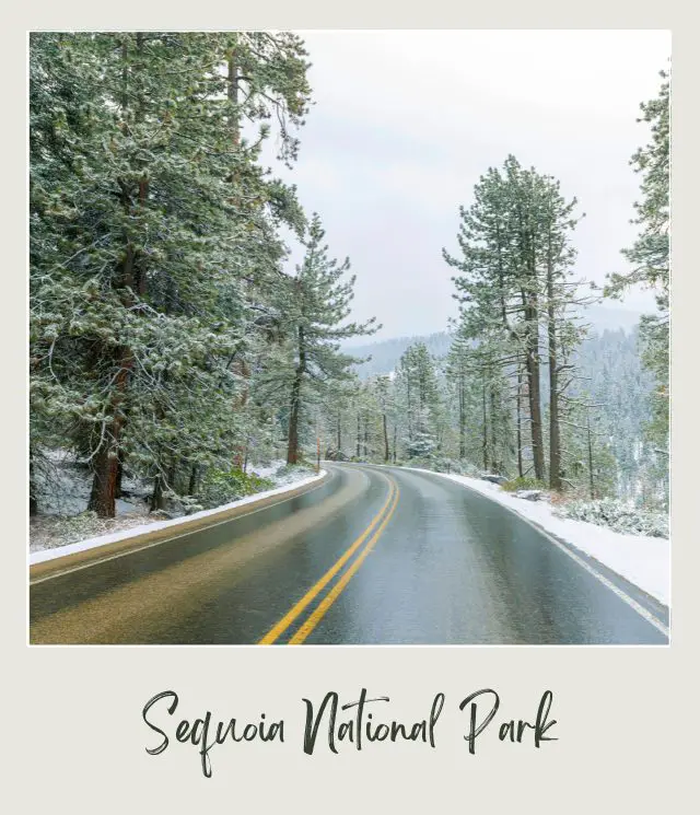 Winter Road in Sequoia National Park