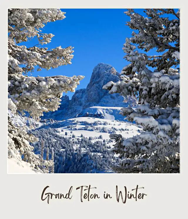 View of mountains and trees covered with snow in Grand Teton National Park.