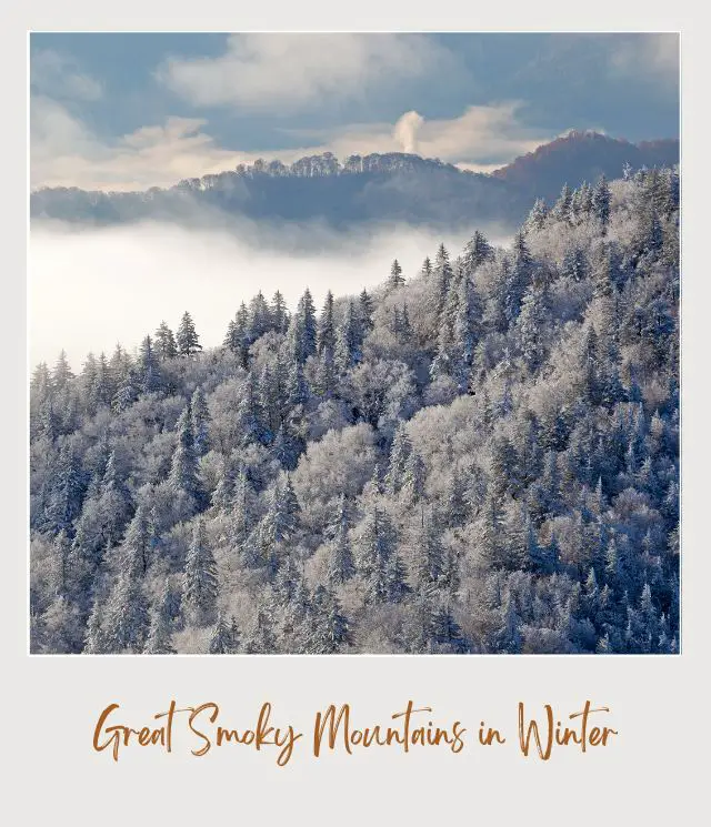 View of snow-capped mountain, and trees covered with snow in Great Smoky Mountains National Park.