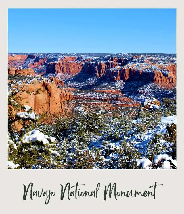 15 Best Winter Hikes in Arizona for Your Bucket List Winter in Navajo National Monument