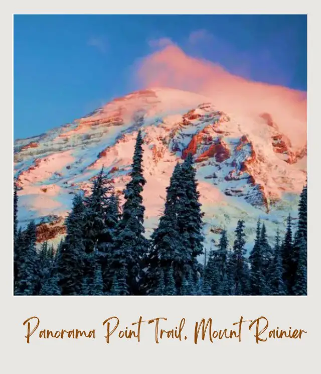 The Best Winter Hikes in the US National Parks Winter in Panorama Point Trail Mount Rainier National Park