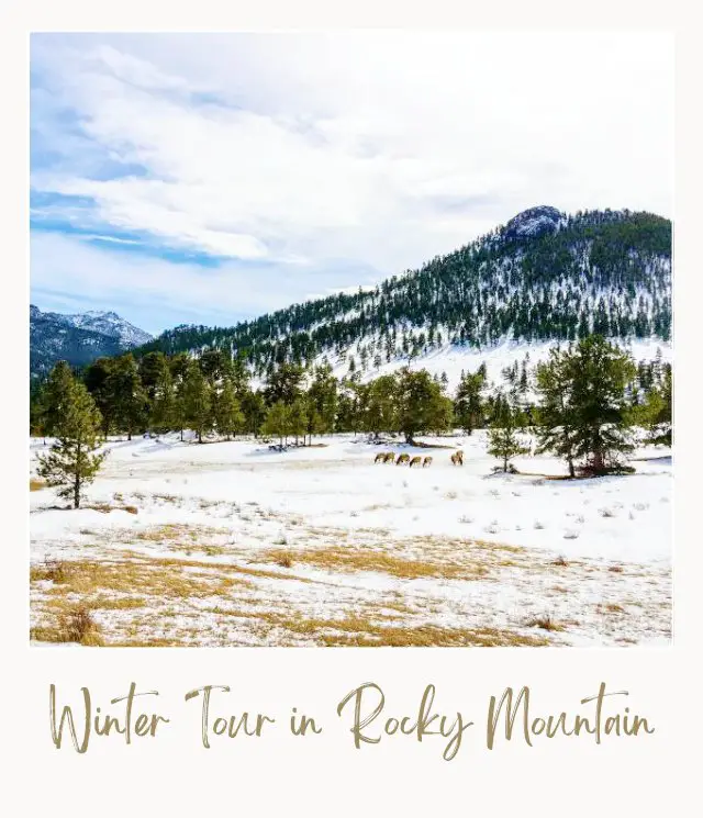 20 Best Things to Do in Rocky Mountain National Park in Winter Winter in Rocky Mountain National Park 1