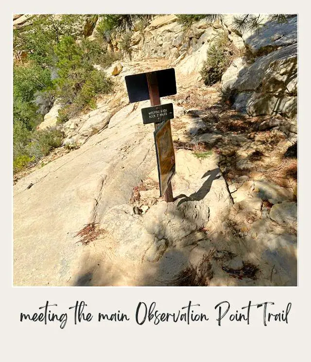 A wooden signpost a positioned on a rocky trail surrounded with green grasses at Observation Point Trail, Zion National Park